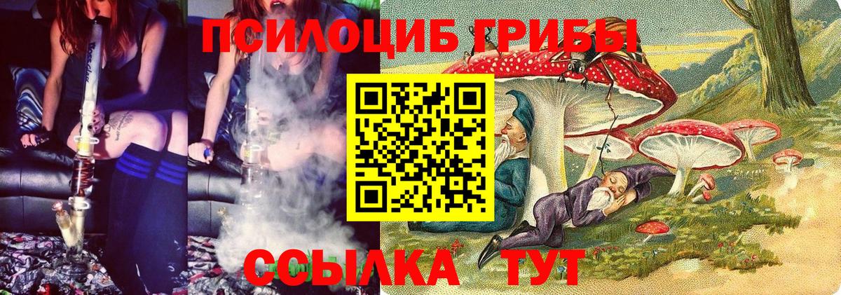 Псилоцибиновые грибы мицелий Сургут